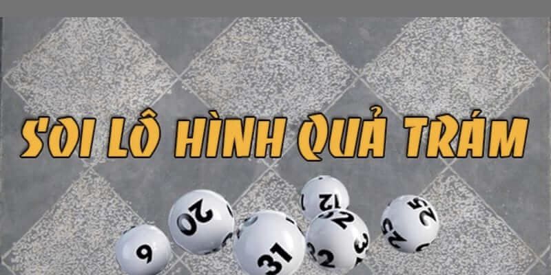 bạch thủ lô quả trám chơi thế nào