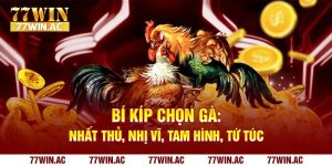 tìm hiểu đá gà chọi là gì