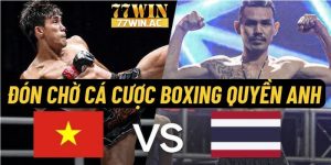 cá cược boxing quyền anh