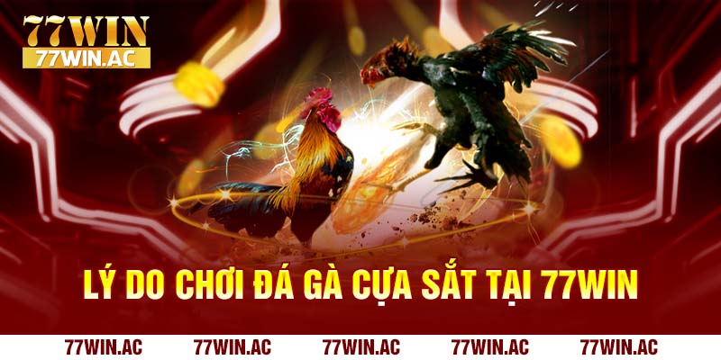 làm sao tham gia đá gà cựa sắt