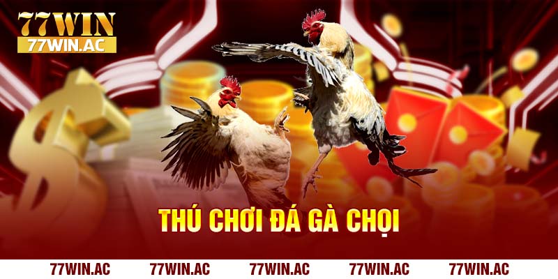 đá gà chọi kinh nghiệm chơi từ cao thủ